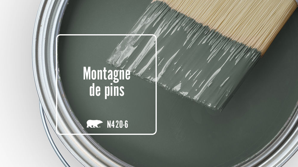 Montagne de pins Color for Mobile