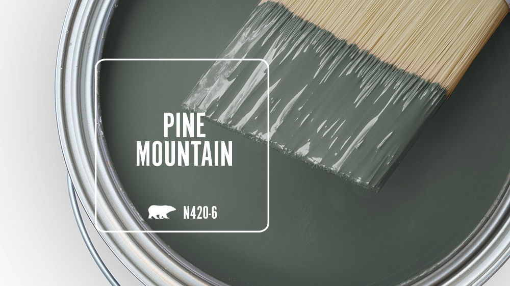 PINE MOUNTAIN Color for Mobile