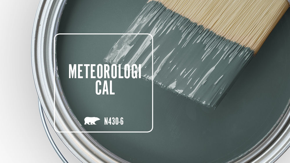 METEOROLOGICAL Color for Mobile