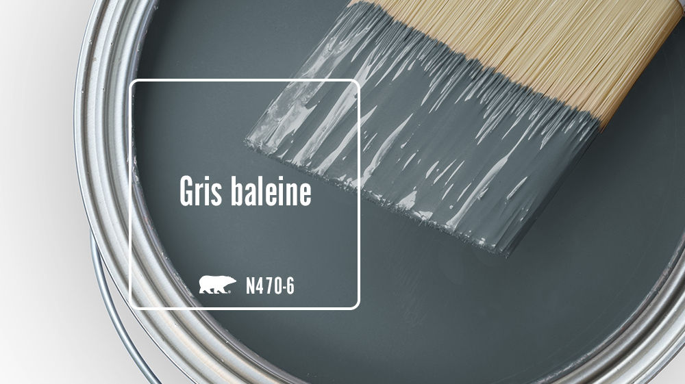 Gris baleine Color for Mobile