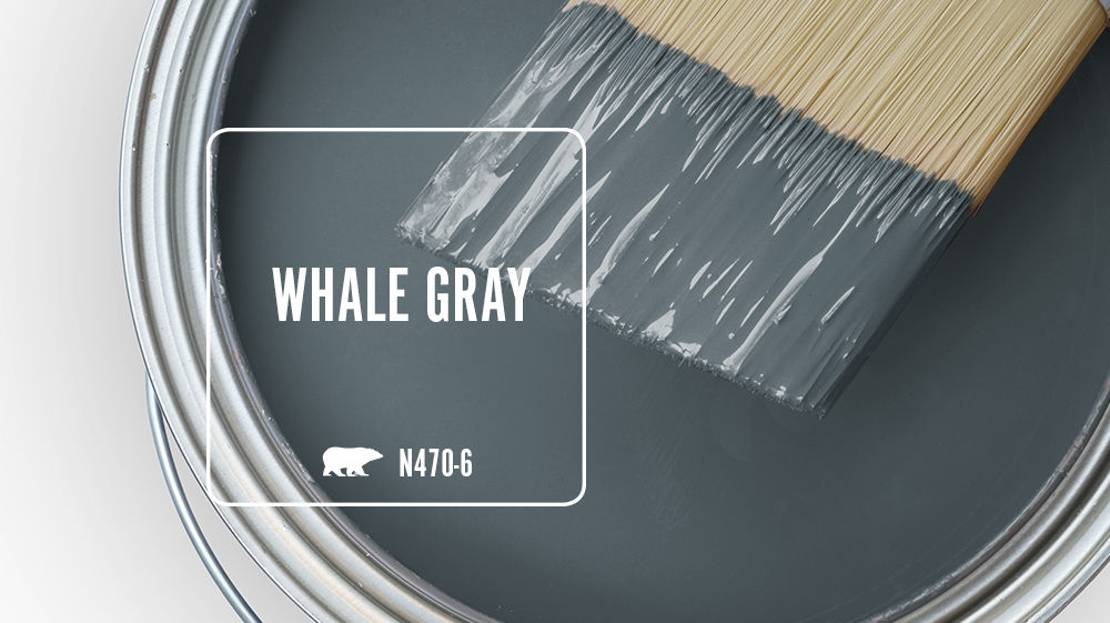 WHALE GRAY Color for Mobile