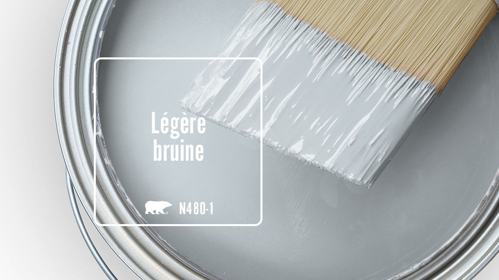 Légère bruine Color for Mobile