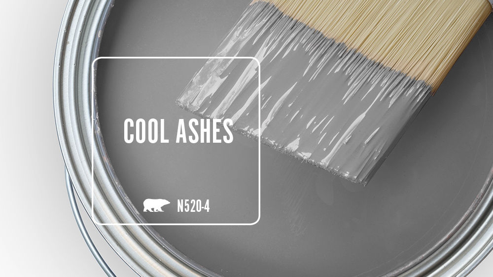 COOL ASHES Color for Mobile