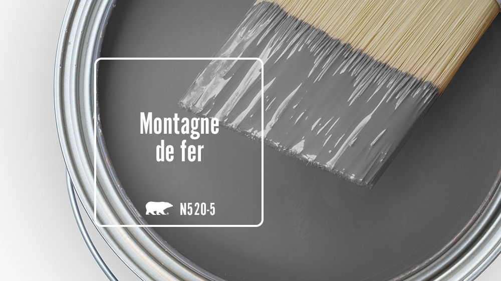 Montagne de fer Color for Mobile