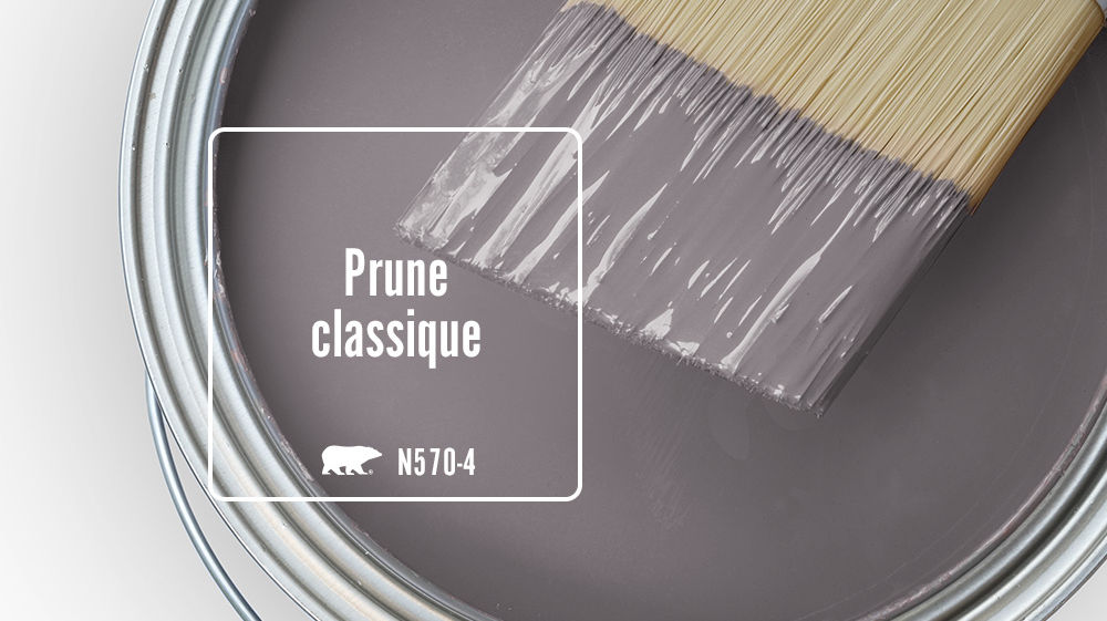 Prune classique Color for Mobile