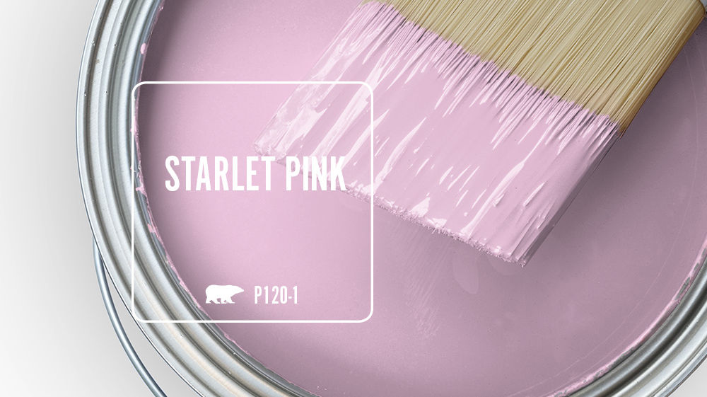 STARLET PINK Color for Mobile