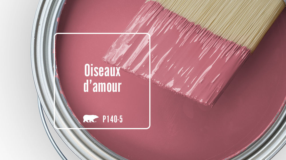Oiseaux d'amour Color for Mobile