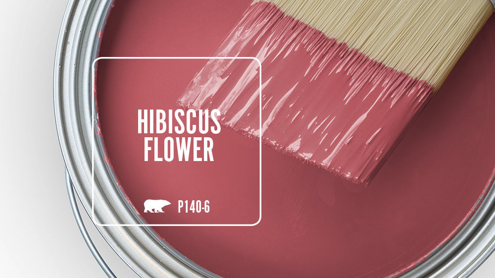 HIBISCUS FLOWER Color for Mobile