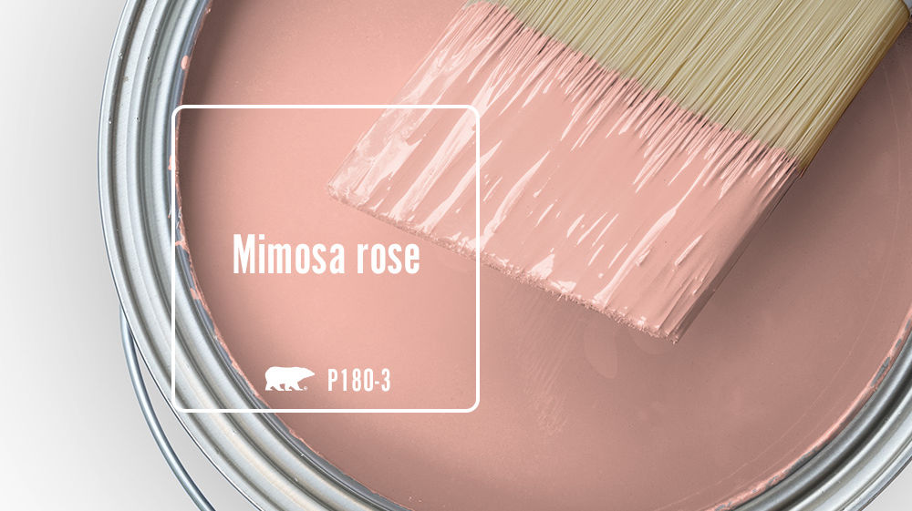Mimosa rose Color for Mobile