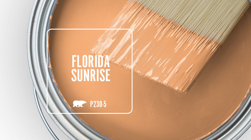 FLORIDA SUNRISE Color for Mobile