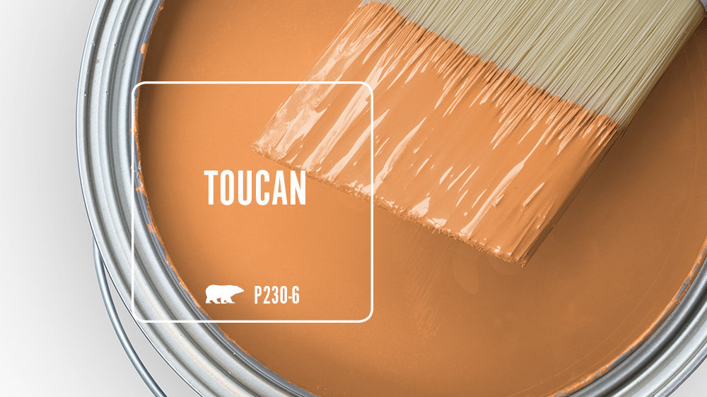 TOUCAN Color for Mobile