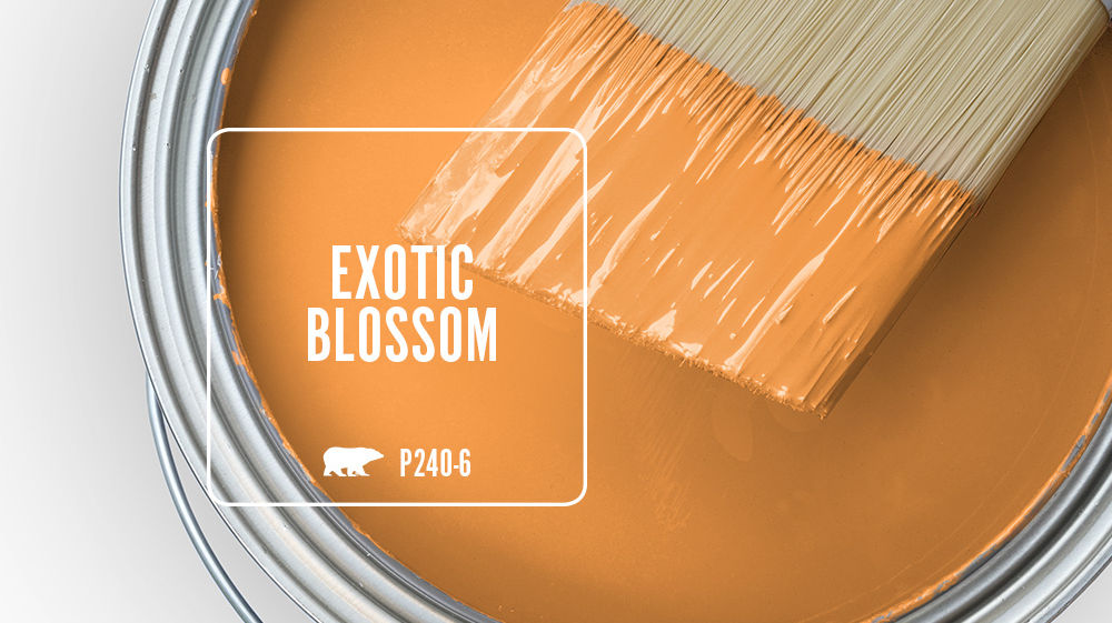 EXOTIC BLOSSOM Color for Mobile