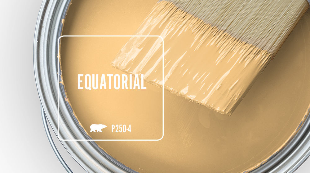 EQUATORIAL Color for Mobile