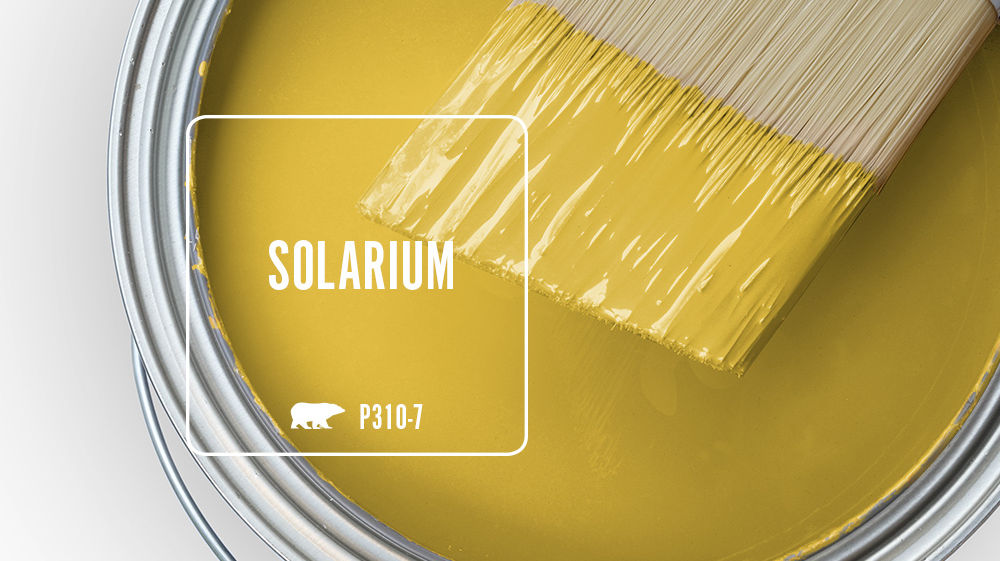 SOLARIUM Color for Mobile