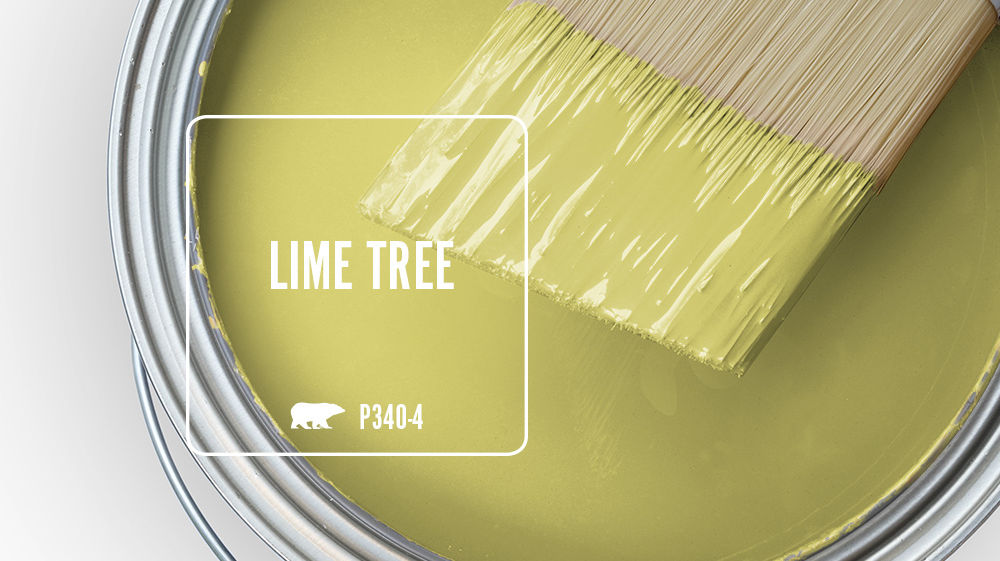 LIME TREE Color for Mobile