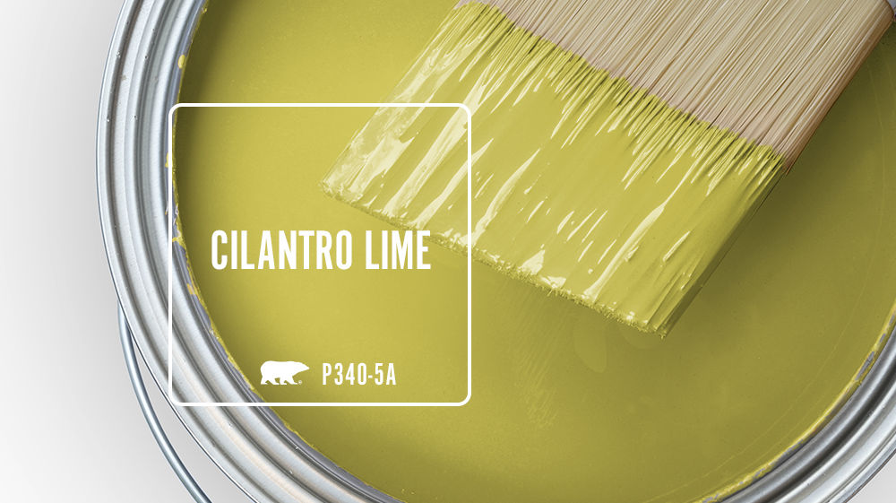 CILANTRO LIME Color for Mobile