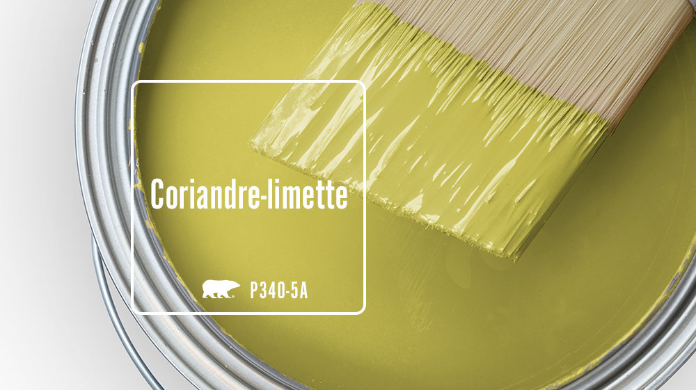 Coriandre-limette Color for Mobile