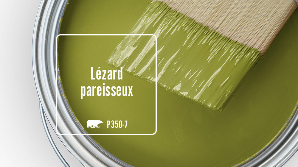 Lézard paresseux Color for Mobile
