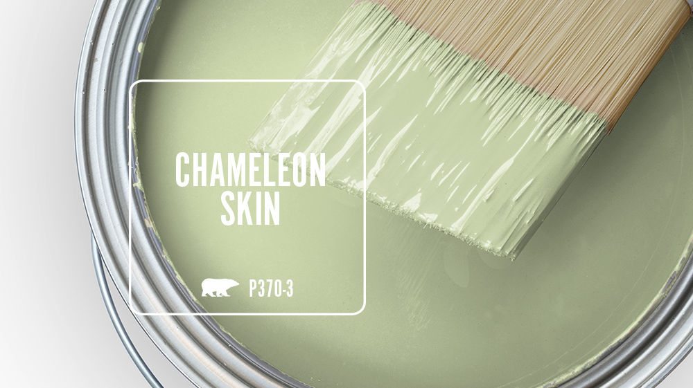 CHAMELEON SKIN Color for Mobile