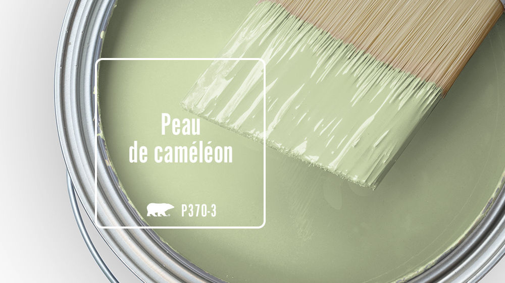 Peau de caméléon Color for Mobile