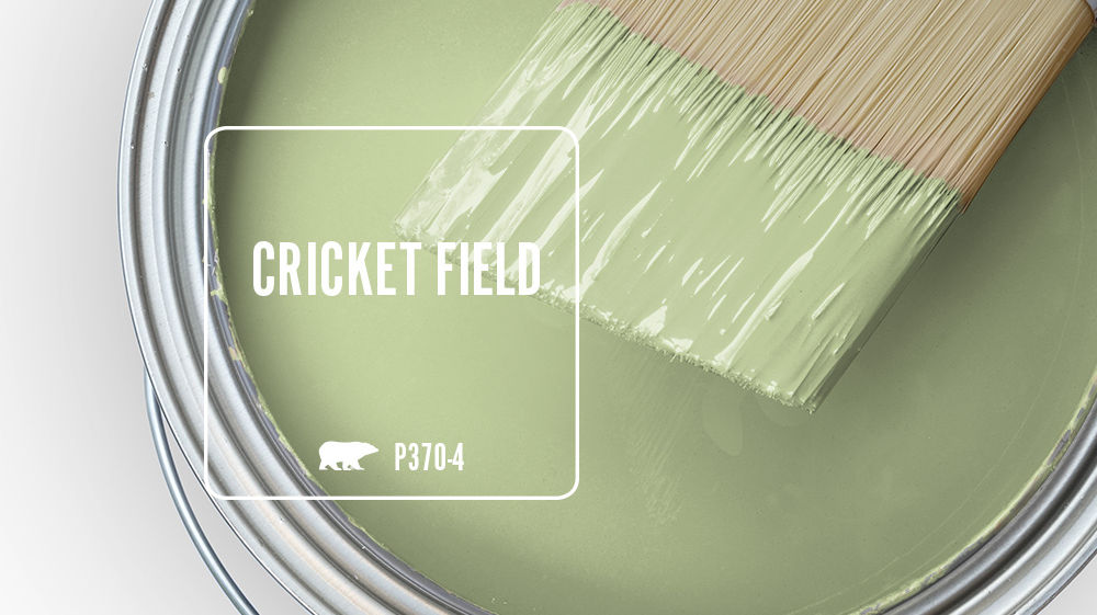 CRICKET FIELD Color for Mobile