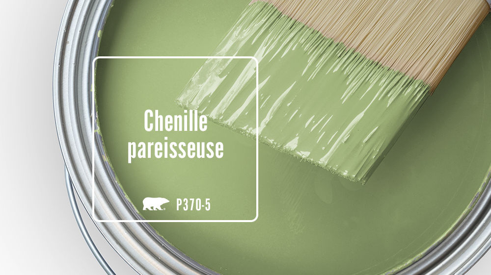 Chenille paresseuse Color for Mobile
