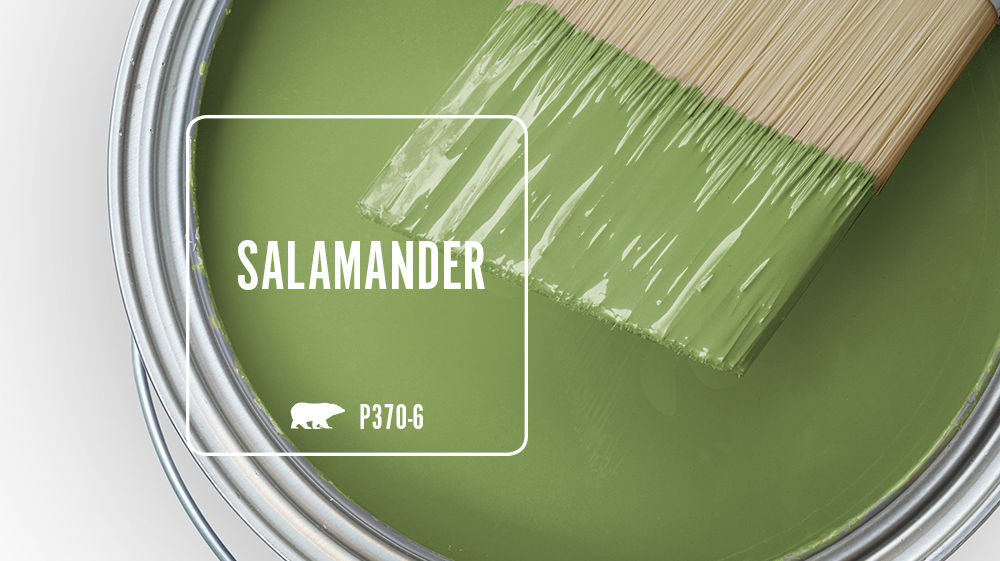 SALAMANDER Color for Mobile
