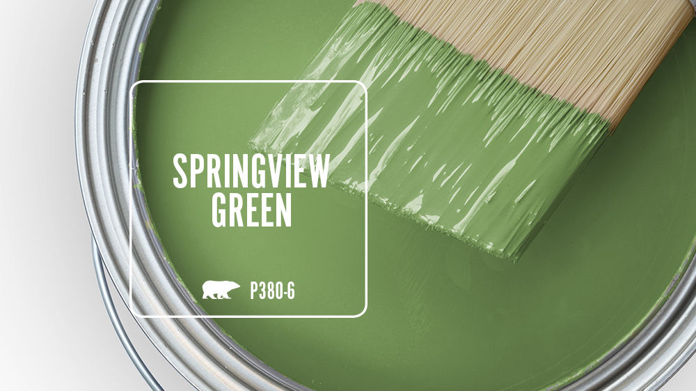 SPRINGVIEW GREEN Color for Mobile