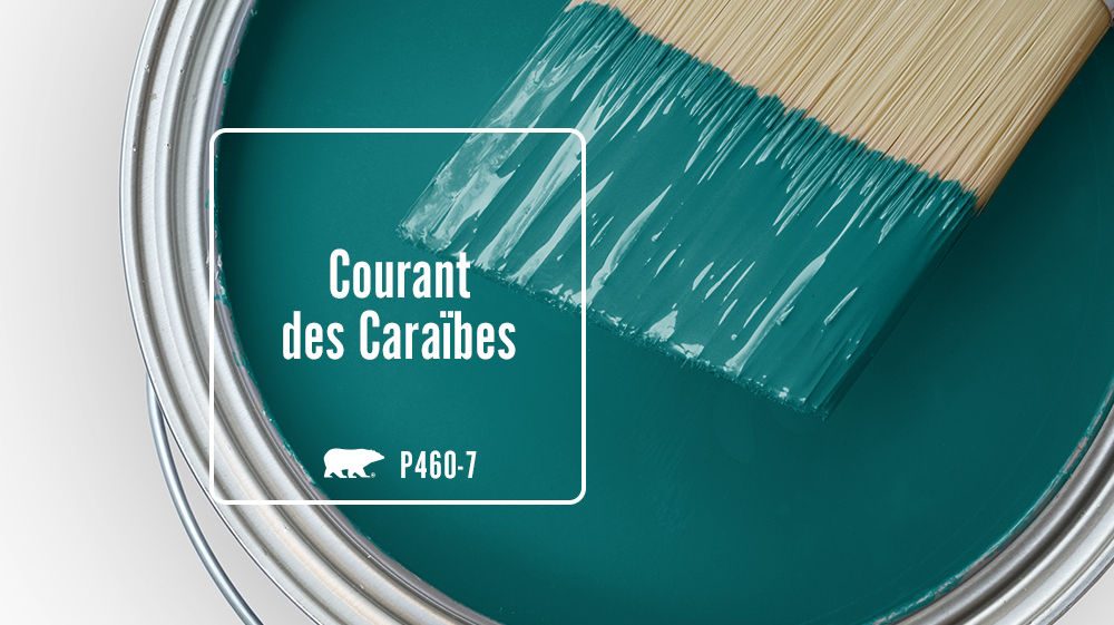 Courant des Caraïbes Color for Mobile