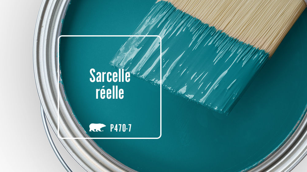 Sarcelle réelle Color for Mobile