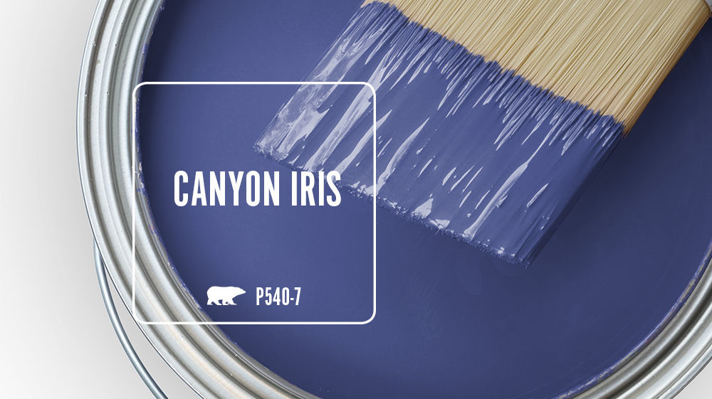 CANYON IRIS Color for Mobile