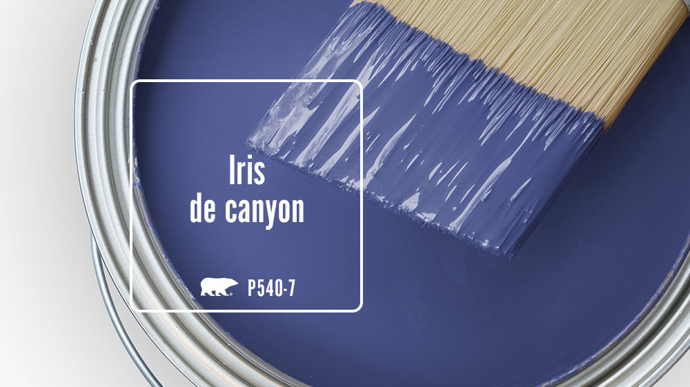 Iris de canyon Color for Mobile