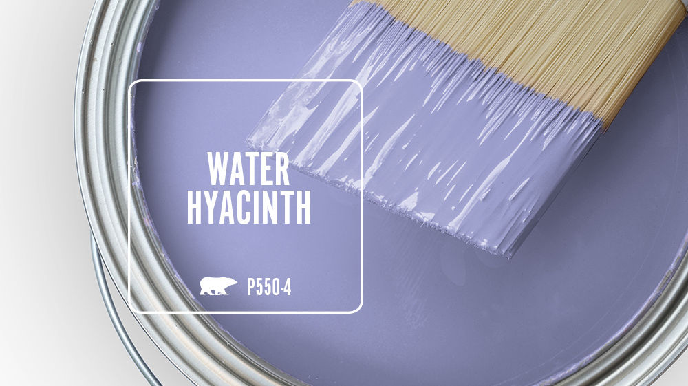 WATER HYACINTH Color for Mobile