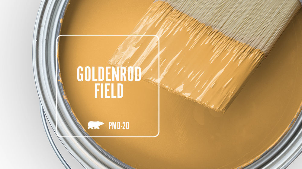 GOLDENROD FIELD Color for Mobile