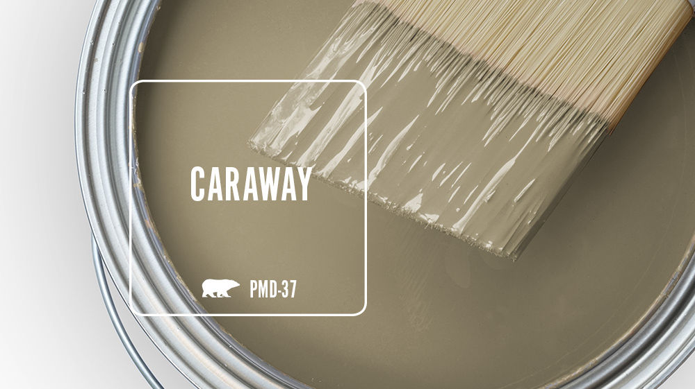 CARAWAY Color for Mobile
