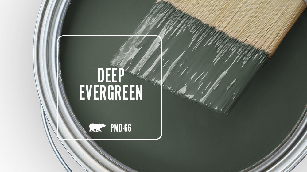 DEEP EVERGREEN Color