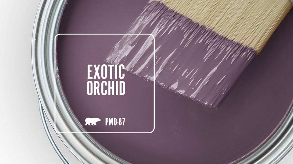 EXOTIC ORCHID Color for Mobile