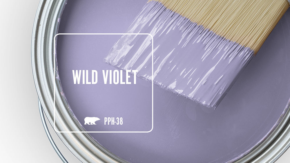 WILD VIOLET Color