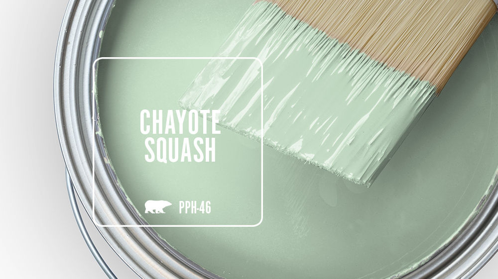 CHAYOTE SQUASH Color