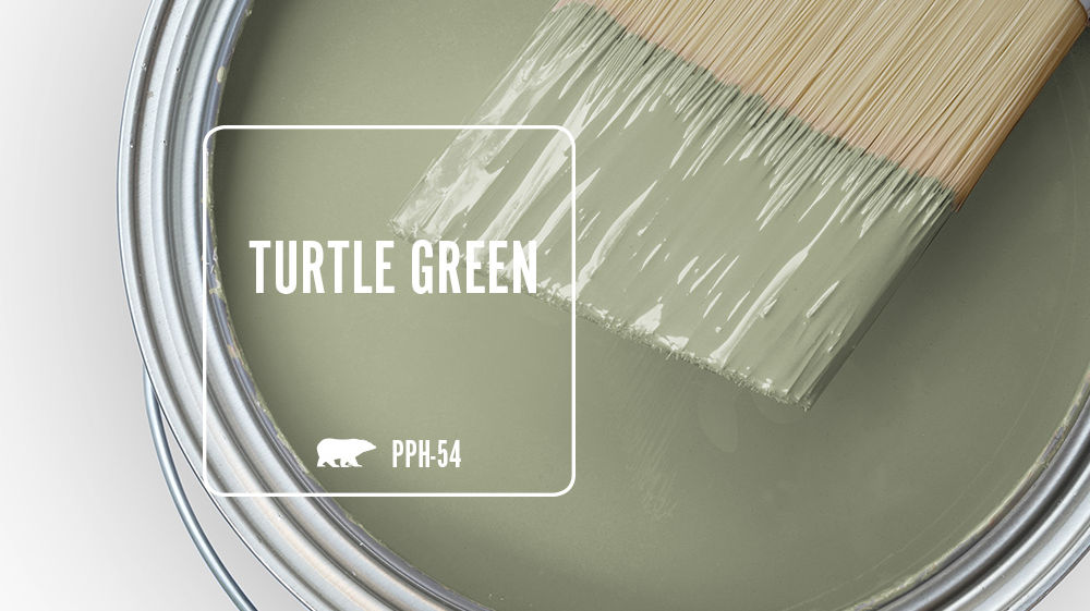 TURTLE GREEN Color