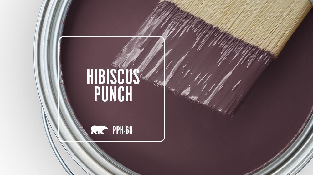 HIBISCUS PUNCH Color