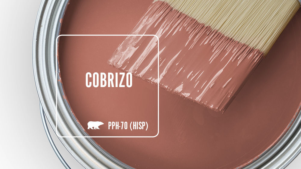 COBRIZO Color for Mobile