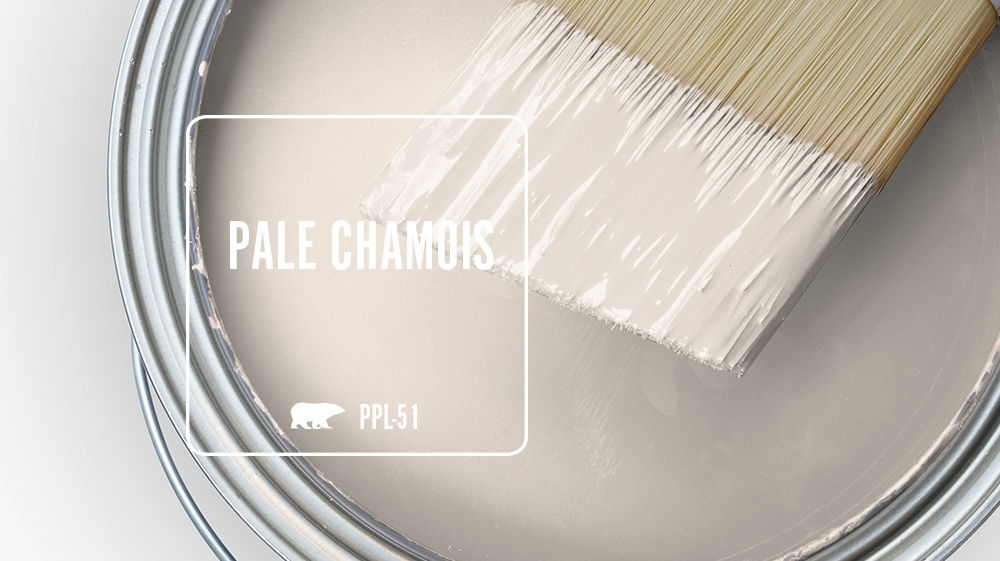PALE CHAMOIS Color for Mobile