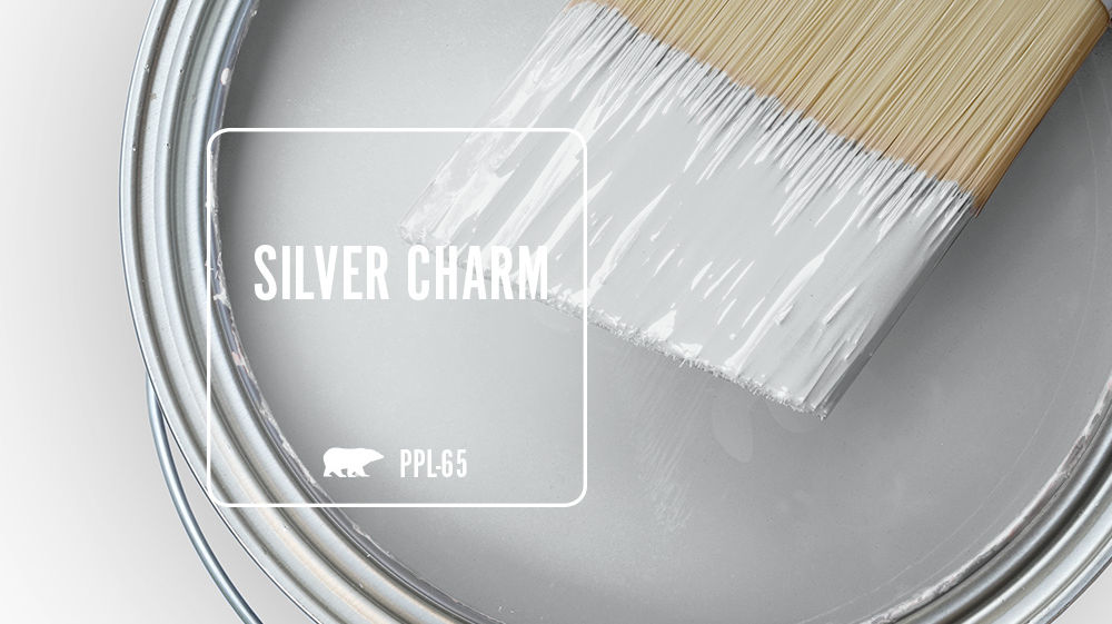 SILVER CHARM Color for Mobile