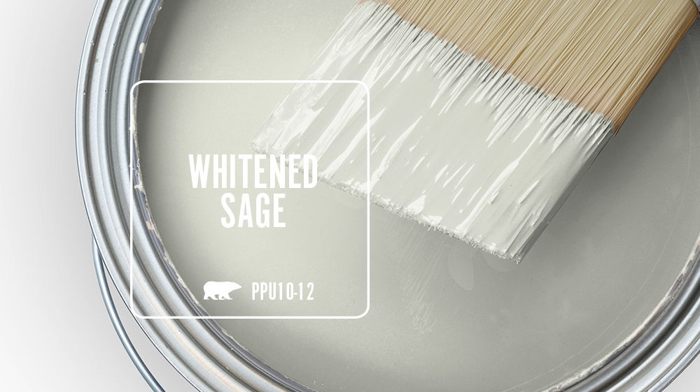 WHITENED SAGE Color for Mobile