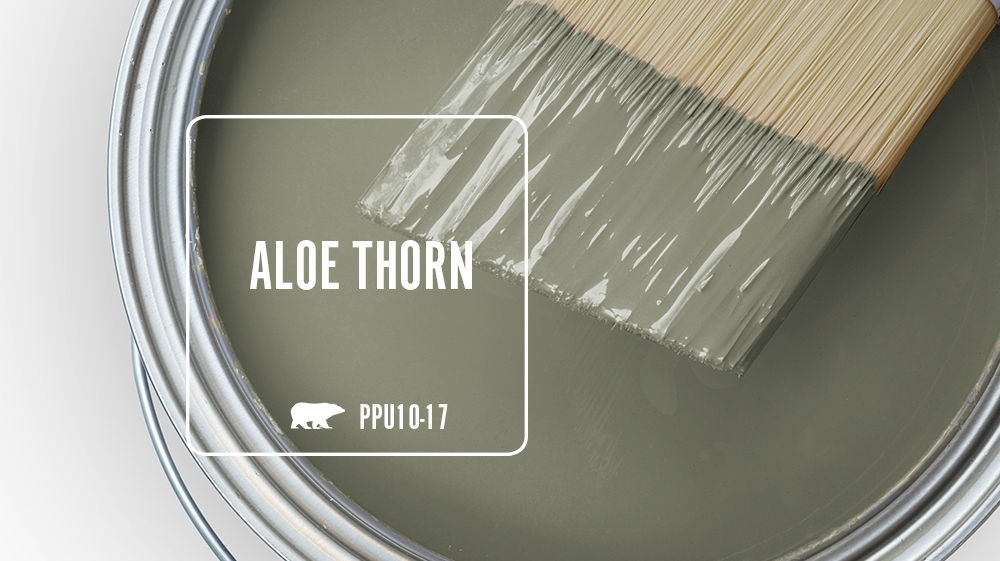 ALOE THORN Color for Mobile