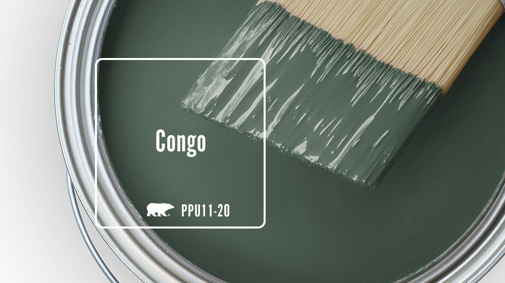 Congo Color for Mobile
