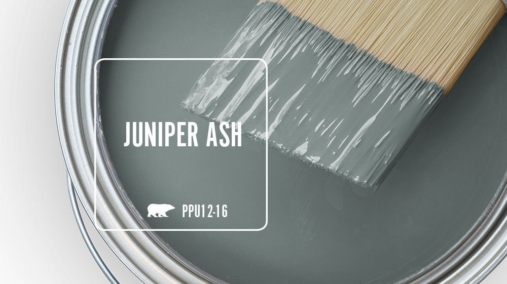 JUNIPER ASH Color for Mobile