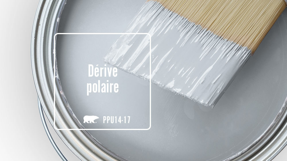 Dérive polaire Color for Mobile