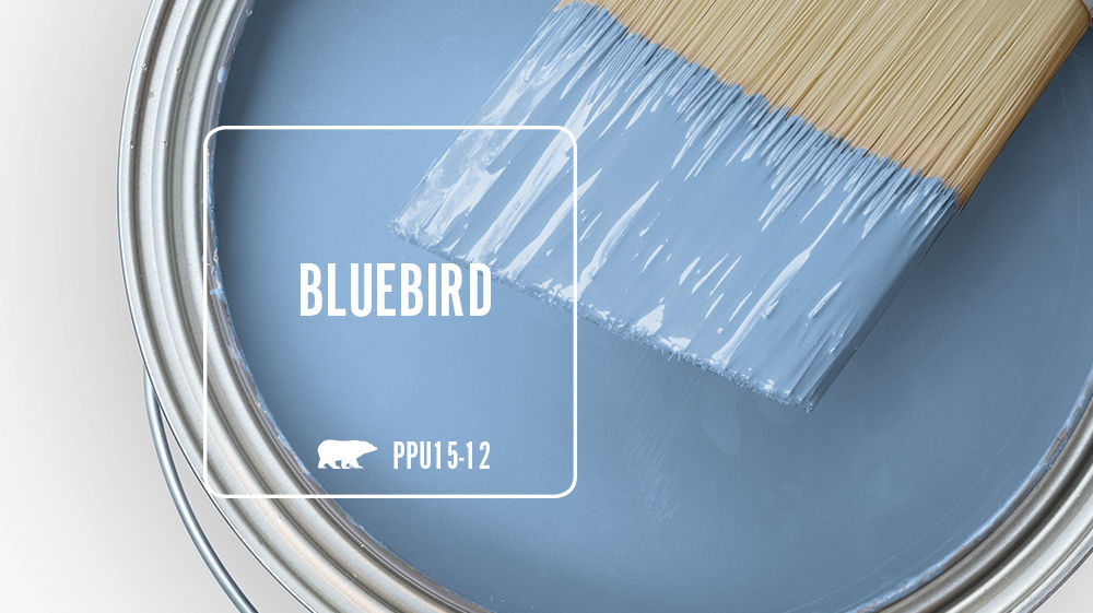 BLUEBIRD Color for Mobile